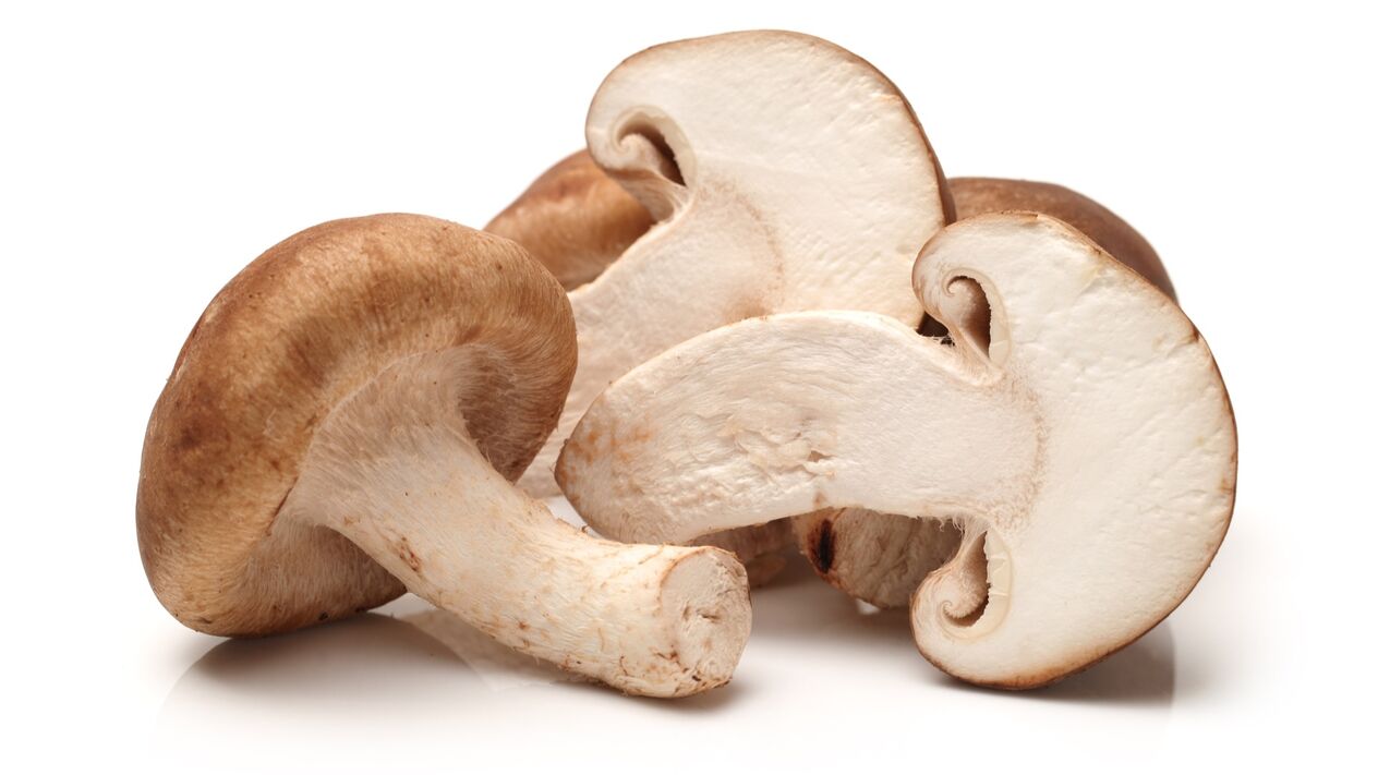 Shiitake houby v kartoformních tobolkách